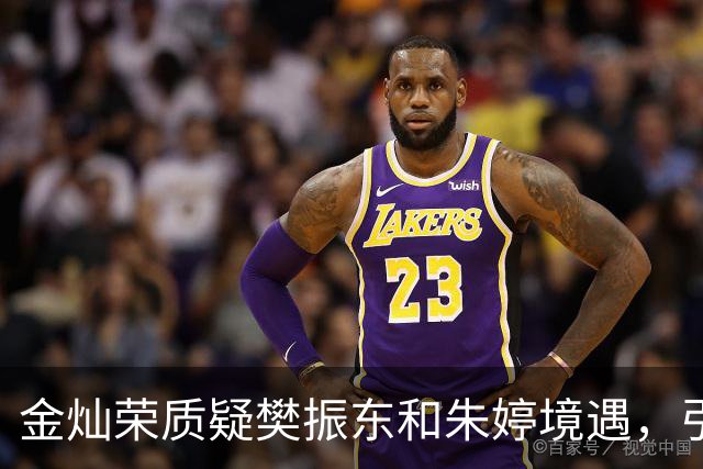 金灿荣质疑樊振东和朱婷境遇，引发网友热议与反思